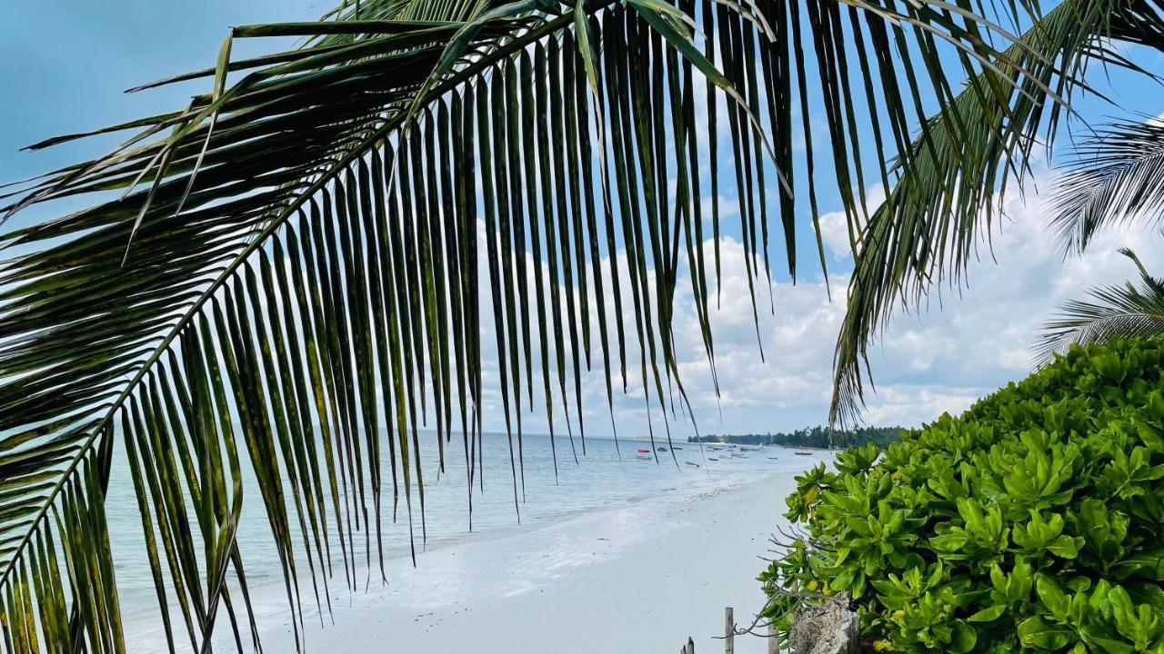 Palumboreef Beach Resort Uroa Exteriör bild