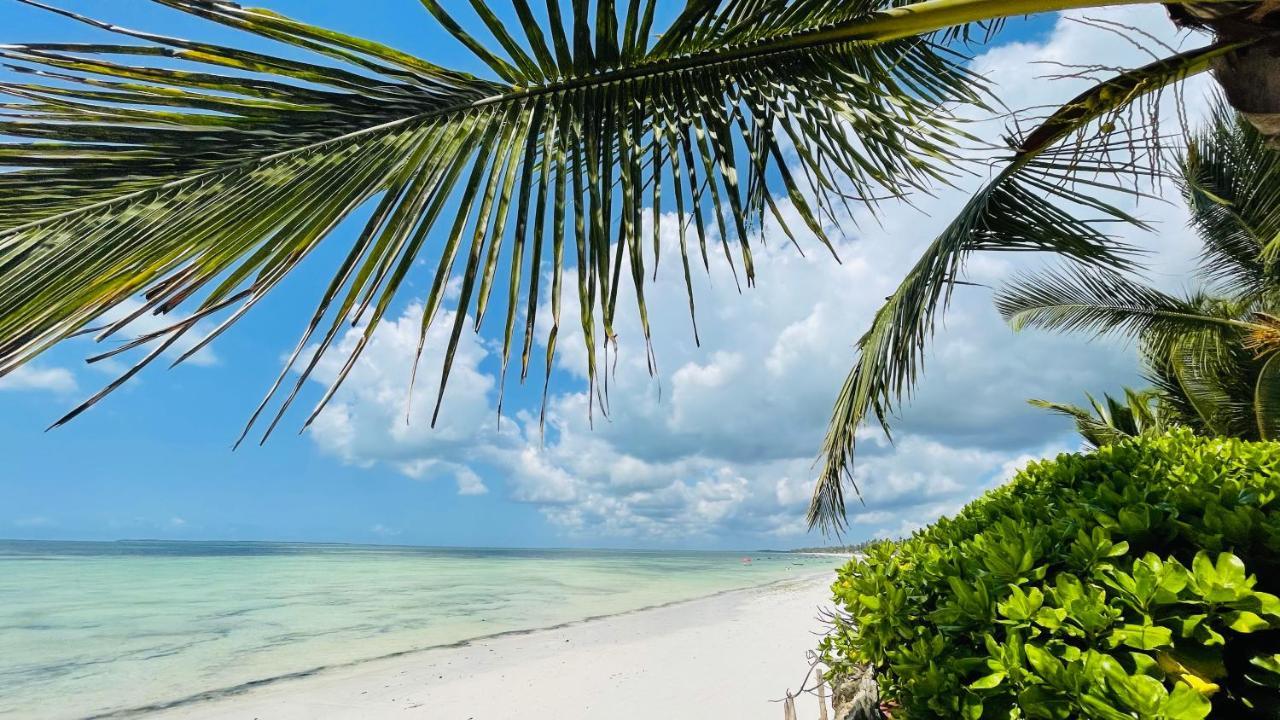 Palumboreef Beach Resort Uroa Exteriör bild