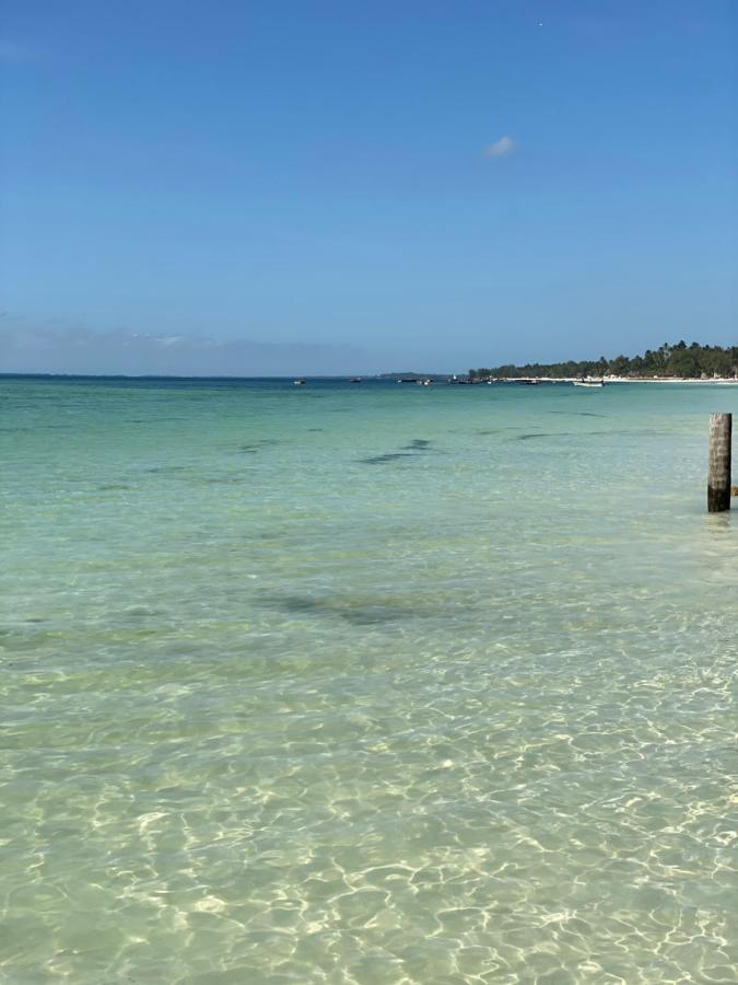 Palumboreef Beach Resort Uroa Exteriör bild